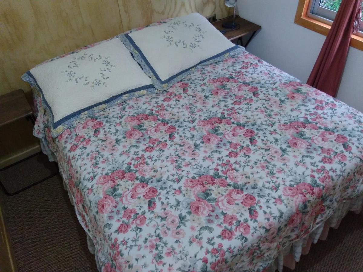 Bed and Breakfast Flor/Victoria à Villarrica Extérieur photo